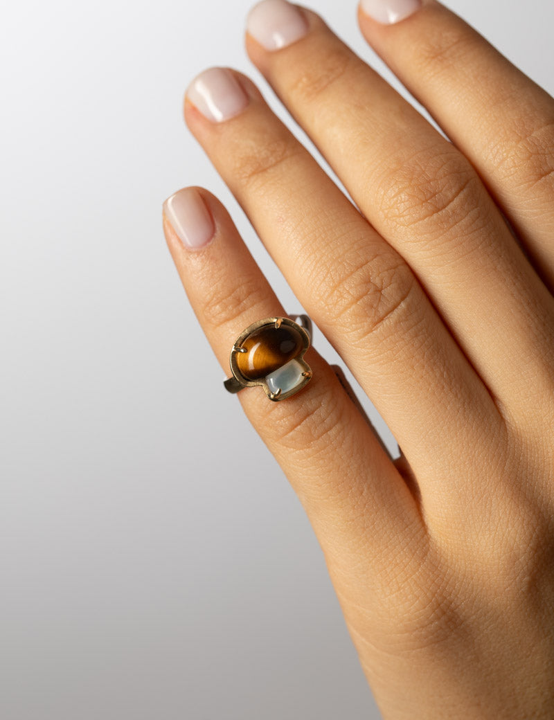 shroom_ring_model.jpg
