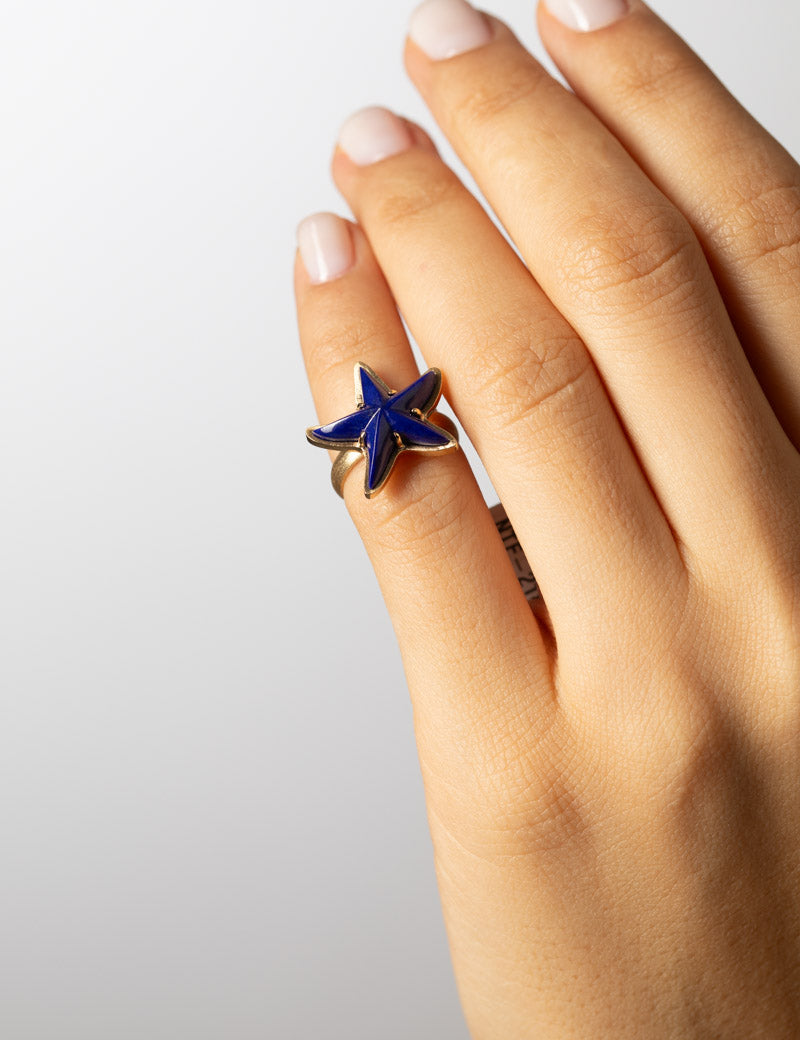 under_the_sea_ring_model.jpg